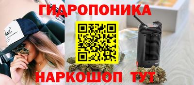 гидра Гусиноозёрск