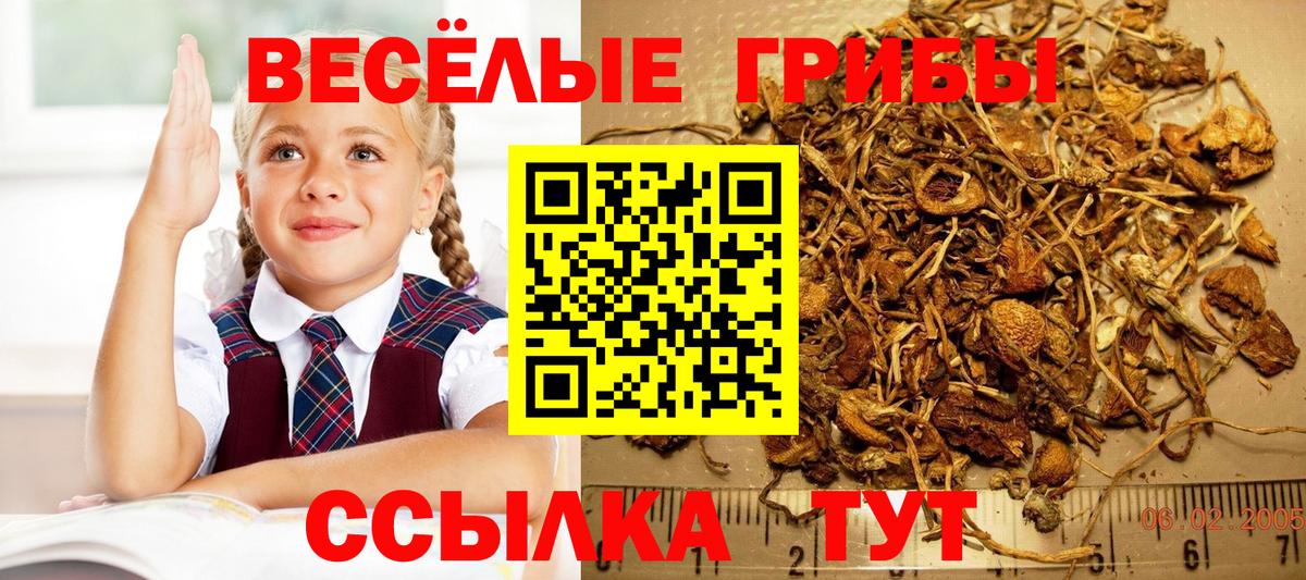 Надым  Галлюциногенные грибы мицелий  Вход с VPN  Галлюциногенные грибы GOLDEN TEACHER 